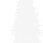 Moonwood Redwood Tree, Crescent Moon (1)@2x